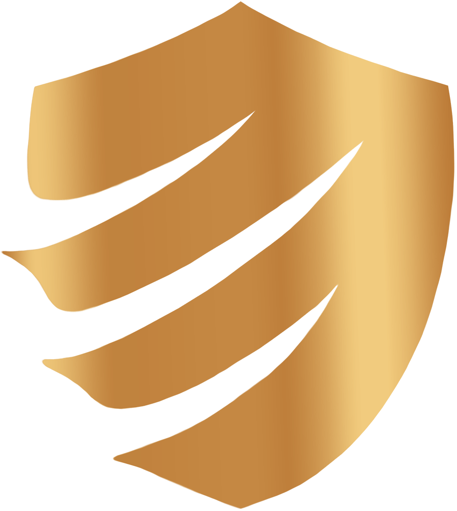 DRELUXE SECURITY SERVICE LOGO