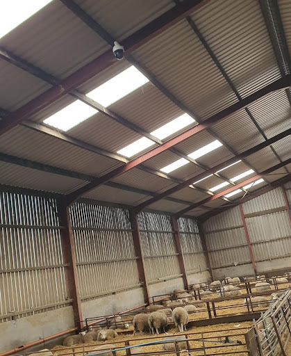 Photo from customer review