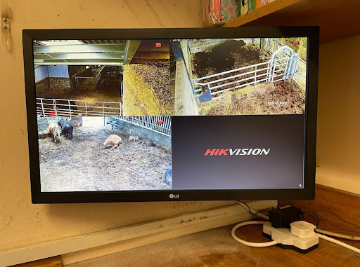 Photo from customer review