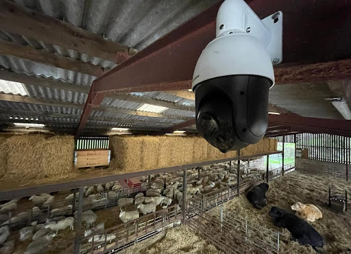 Photo from customer review